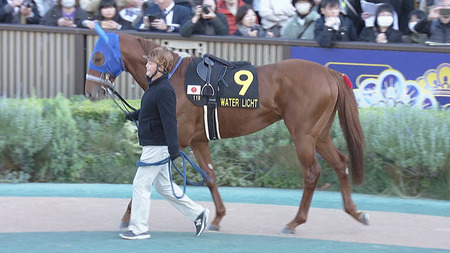 京都金杯2着ウォーターリヒト、師の夢のためフェブラリー参戦か