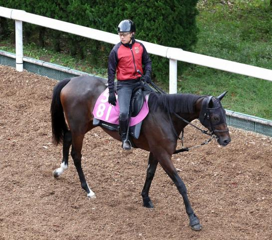 【シンザン記念】マイエレメント　発馬が決まれば、福永師「能力はあるので楽しみ」