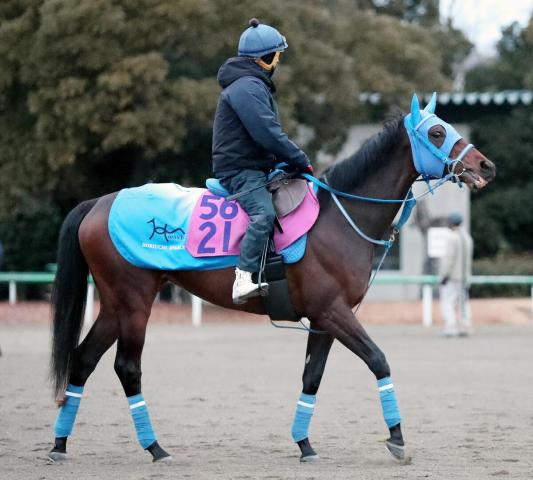 【フェアリーS】ミーントゥビーで堀内岳志師重賞初Vだ「阪神JFよりいい」