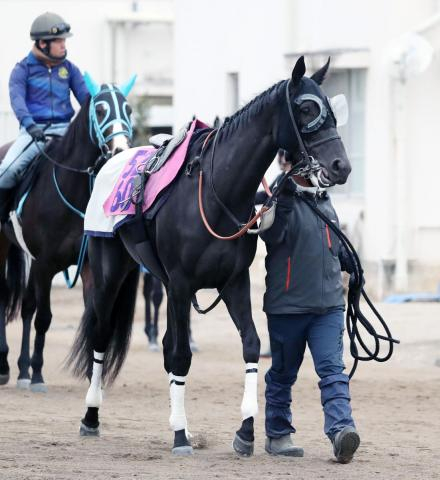 【フェアリーS・浅子の特注馬】負けたレースも好内容のシホリーン　菊花賞馬アーバンシックなどと調教積む