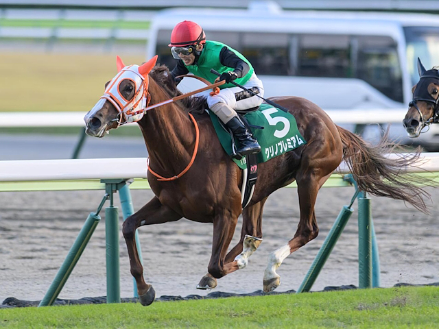 【先週のJRA抹消馬】22年中山牝馬S覇者クリノプレミアム、ダート短距離路線で活躍したヘリオスなど