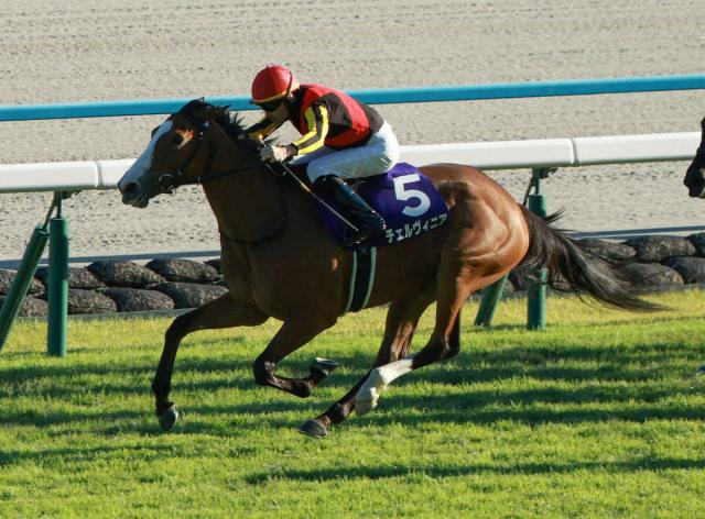 最優秀3歳牝馬はチェルヴィニア　樫と秋華賞の2冠輝く、有馬記念制したレガレイラを抑えて受賞