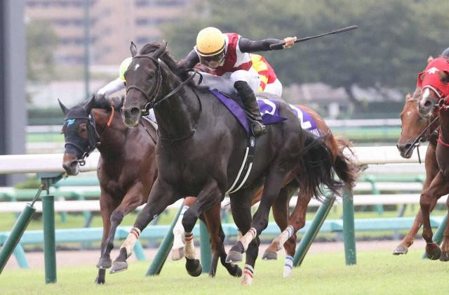 最優秀スプリンターはルガル　ケガ乗り越えて劇勝、杉山晴師「一生懸命な取り組みがつながった」