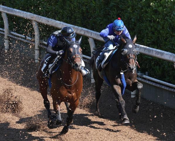 重賞2勝馬ヴェルトライゼンデ　ルメートルと新コンビ結成　日経新春杯で復帰