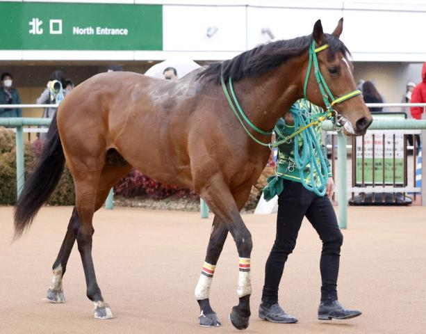 【注目馬動向】ステークホルダーはオーシャンSで重賞初挑戦　サンライズSを制してオープン入り