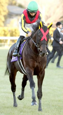 札幌2歳S勝ち馬のマジックサンズが左前脚の軽い骨折　全治3か月以上も皐月賞は間に合う見込み