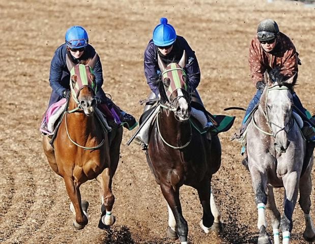 【フェアリーS】ジョリーレーヌ　精神面でも成長、大竹師「良かったですね」