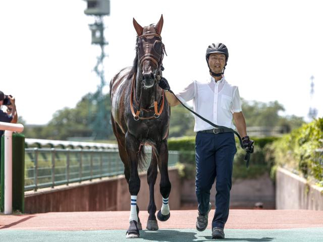  【シンザン記念展望】出世レースで素質高いジーティーマンに期待