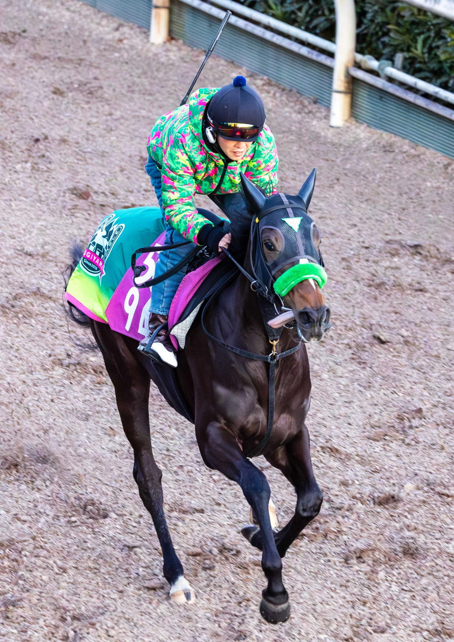 【フェアリーＳ】エリカエクスプレス万全　無傷２連勝で重賞制覇へ