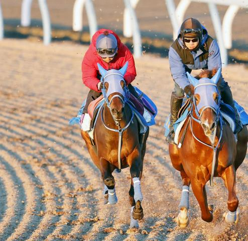 【フェアリーS】阪神JF7着馬が巻き返しへ　「前走よりいい」松岡正海騎手が年末年始も