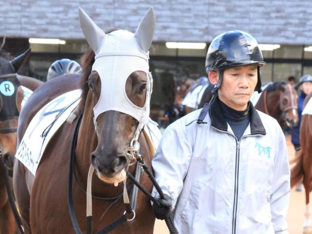 【シンザン記念】田口貫太騎手がJRA重賞初制覇へ グラフィティアートで挑む