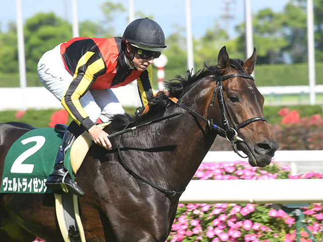 【有力馬動向】「良化がスロー」ヴェルトライゼンデが戦列復帰へ/馬三郎のつぶやき