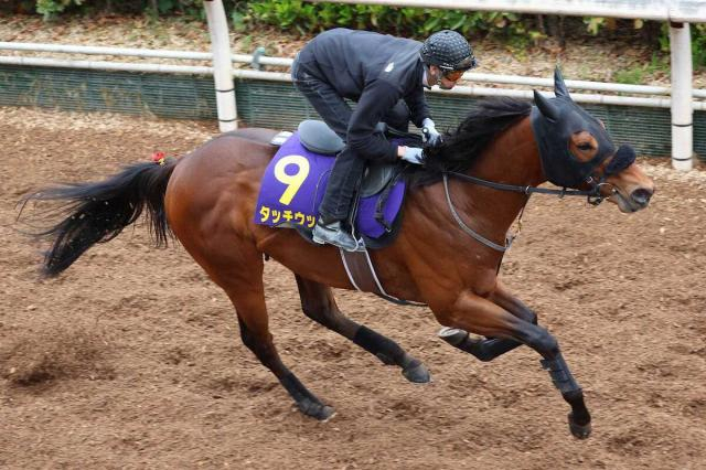 【日経新春杯1週前追い】武豊と再コンビとなるタッチウッド　武幸師「今年は頑張ってくれたら」