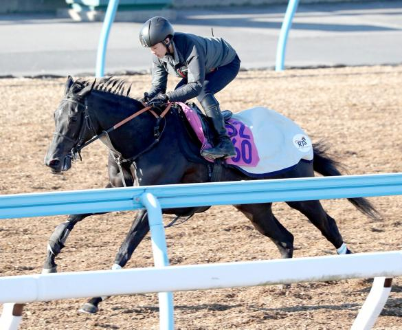 【注目馬動向】フェアリーSを除外のシホリーンは横山武史騎手で菜の花賞へ