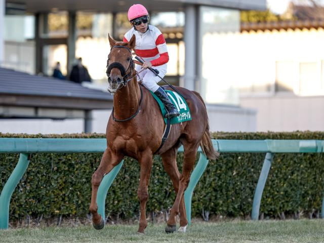 【有力馬情報】ダノンデサイル好調維持/馬三郎のつぶやき