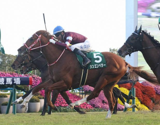 ネオムターフC　シンエンペラーなど日本馬18頭がエントリー