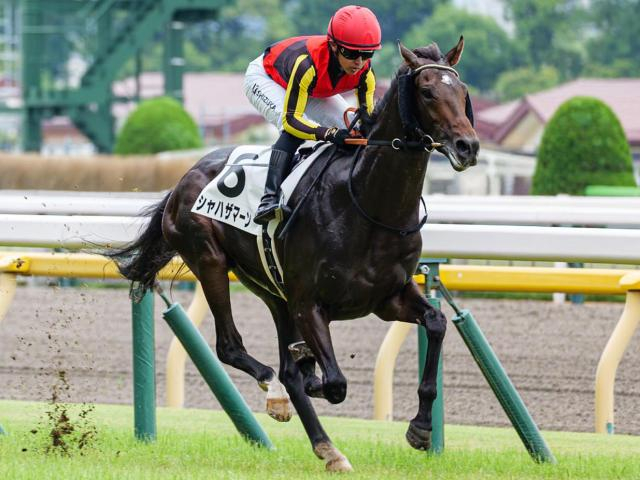 半兄は日本ダービー馬と皐月賞馬 シャハザマーンが初勝利なるか