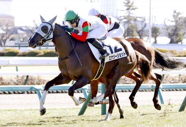 【中山5R・3歳新馬】9番人気のエナジーショットが新馬V　3連単298万円超の大波乱を演出