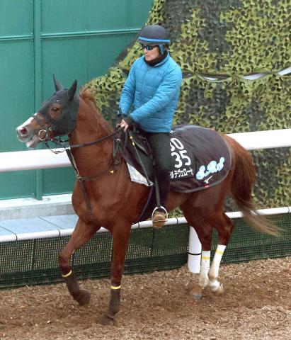 【シンザン記念】1番人気アルテヴェローチェの強力ライバルは?　1戦1勝馬が注目集めて3番人気　前日最終オッズ