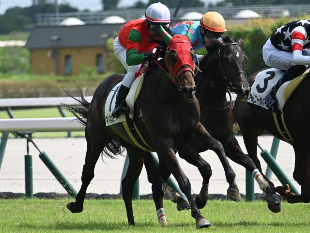 【シンザン記念予想】伝統のクラシック登竜門 中京芝1600mで行われる今年は先行馬有利か