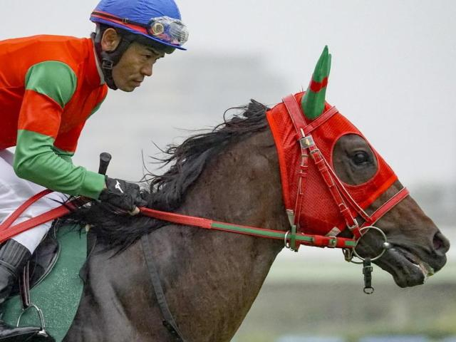 中京芝は内枠有利 シンザン記念はマイネルチケット＆リラエンブレムに注目