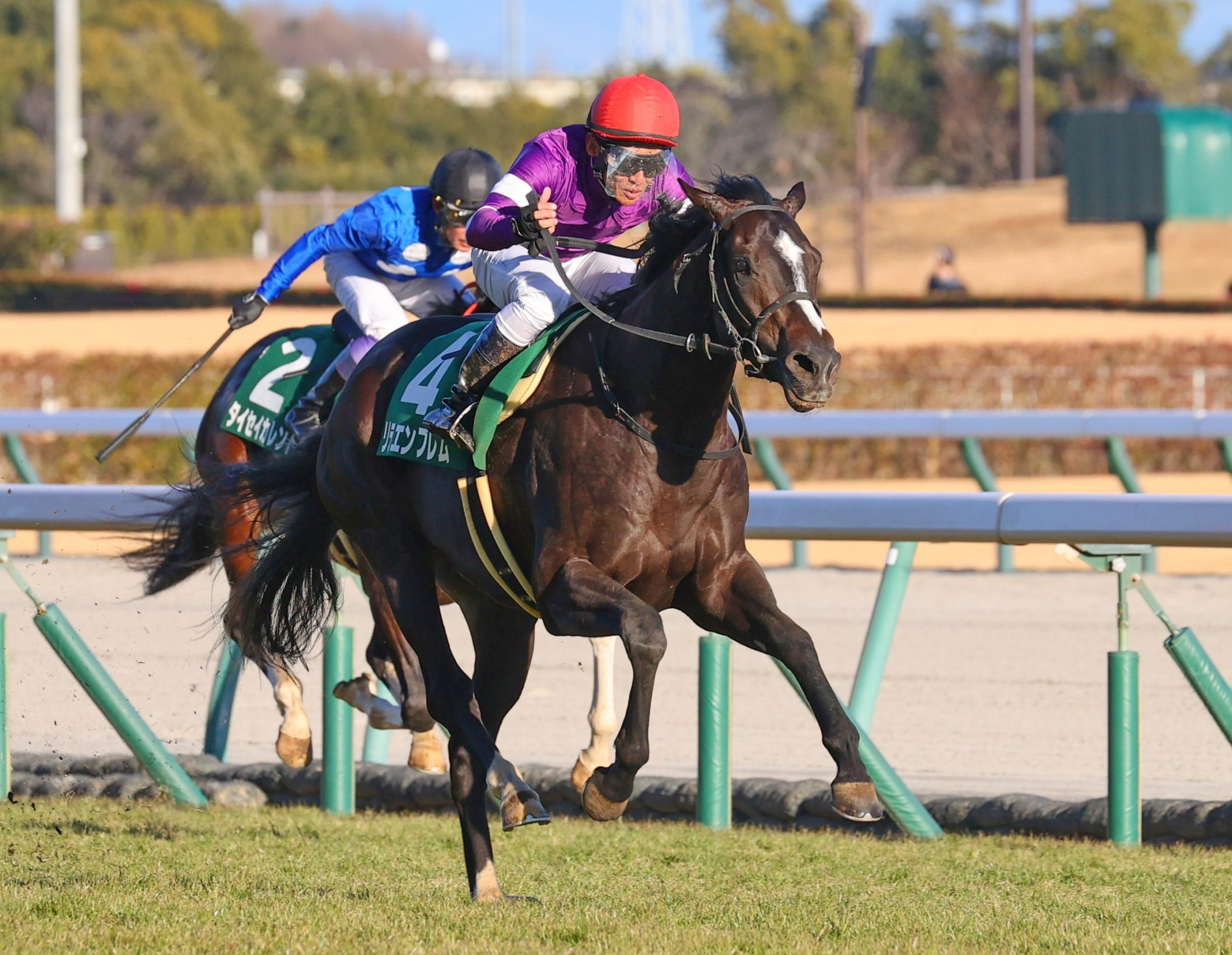 【シンザン記念】３番人気のリラエンブレムがデビュー２連勝で重賞初制覇　浜中「本当に強かったのひと言。まだ奥がある」