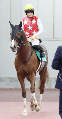 【シンザン記念】1番人気アルテヴェローチェは2馬身半差2着　川田将雅騎手「勝った馬がすごく強かったです」