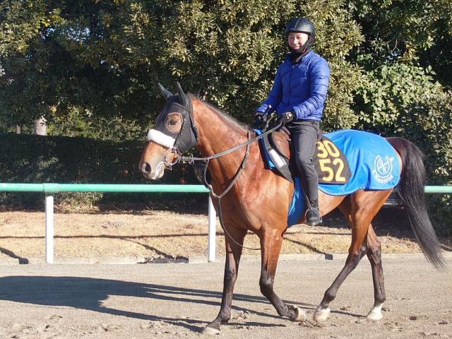 【POG】超良血馬アロンズロッドに国枝調教師が手応え　「何となくアーモンドアイの走りに…」