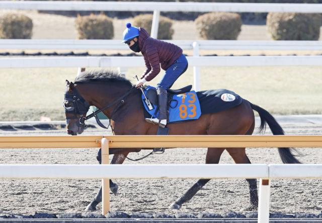 【日経新春杯・西山の特注馬】バトルボーンは手術明けでも仕上がり良好　キャリア8戦で7連対