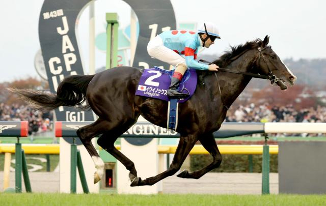 白老ファームでイクイノックス産駒の牝馬が誕生　母ラフォルスは米G2勝ち馬