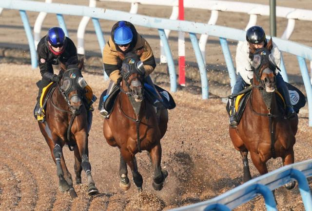 【日経新春杯】バトルボーン　久々感ない走り、林師「乗り込みも十分」