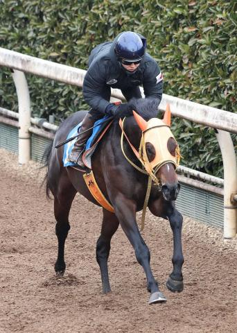 【日経新春杯】ショウナンラプンタ　坂路で軽快な走り!鮫島駿「いい動きでした」