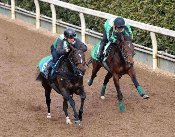 【日経新春杯】マイネルメモリー　パワフルな走り、宮師「動きは良かった」