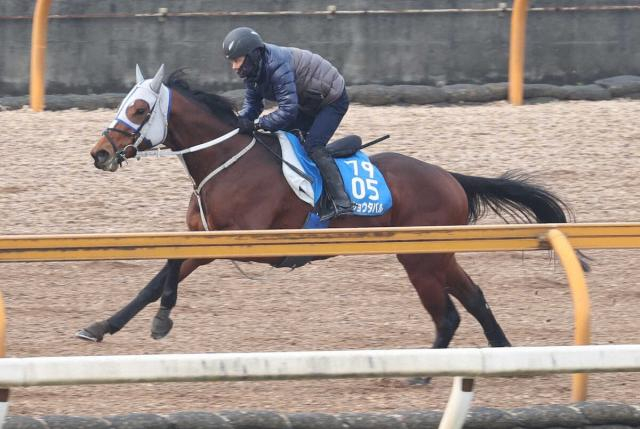 【日経新春杯】メイショウタバル成長の走り!石橋師「我慢が利いていた」