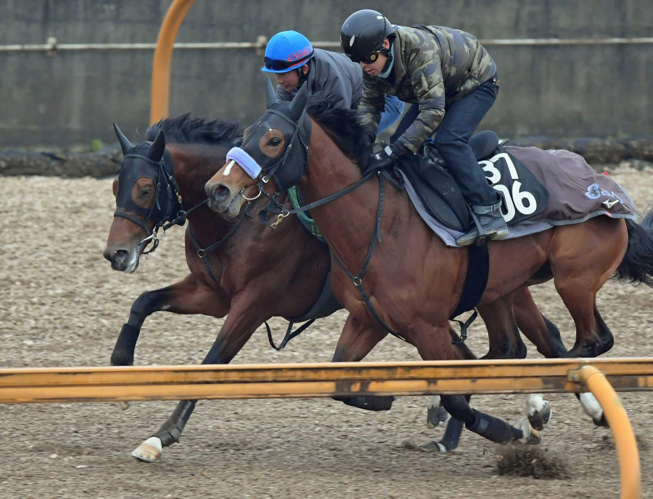 【日経新春杯】ヴェローチェエラ充実一途　余力十分６Ｆ８０秒６　須貝師「荒れた馬場も対応できると思う」