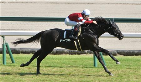 5億円馬ドーブネが引退 北海道で種牡馬入りへ