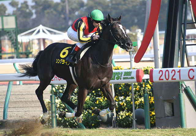 全馬重賞勝ち、6頭中4頭がGI馬 「サ行」の馬が紅梅ステークスを勝ったら要注目