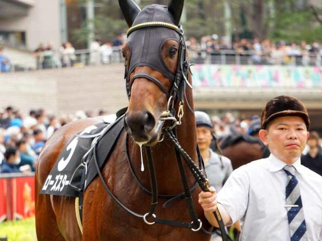 中京ダートはドレフォン産駒に注目 ローズスターの差し切りだ