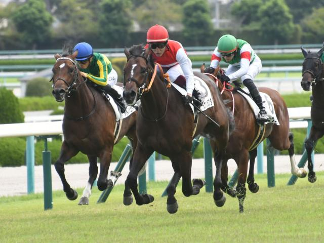 【今日の注目ポイント】中京で日経新春杯と中山で京成杯の2重賞