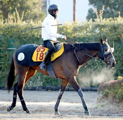 【小倉牝馬S】アスコルティアーモが妹に続く重賞タイトル目指し抜群の気配　鞍上は京成杯で大波乱演出