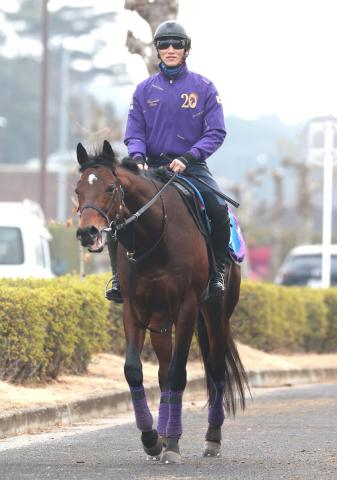 【注目馬動向】サトノグランツはカタールのアミールTでスミヨン騎手と初コンビ　ドバイへの転戦も選択肢