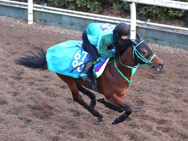 【プロキオンS】武蔵野Sで2着のカズペトシーンは坂路で上々の動き　池添調教師「すごく状態はいい」