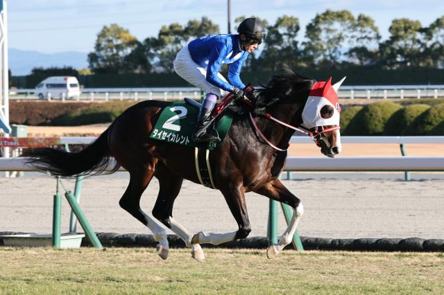 【注目馬動向】シンザン記念5着のタイセイカレントは雲取賞でダートに初挑戦　矢作調教師「試してみたかった」