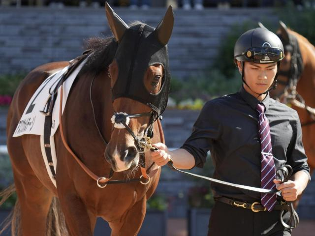 母は桜花賞馬のレッツゴードンキ アスクヴォルテージが待望の初陣だ