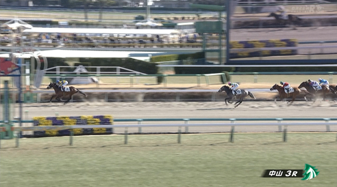 【土曜中山3R新馬戦】ロジリッキー＆三浦騎手がｷﾀ━━━━(ﾟ∀ﾟ)━━━━!!