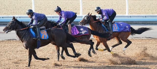 【AJC杯】大人のレーベンスティール!落ち着き十分に好時計　田中博師「進歩している」