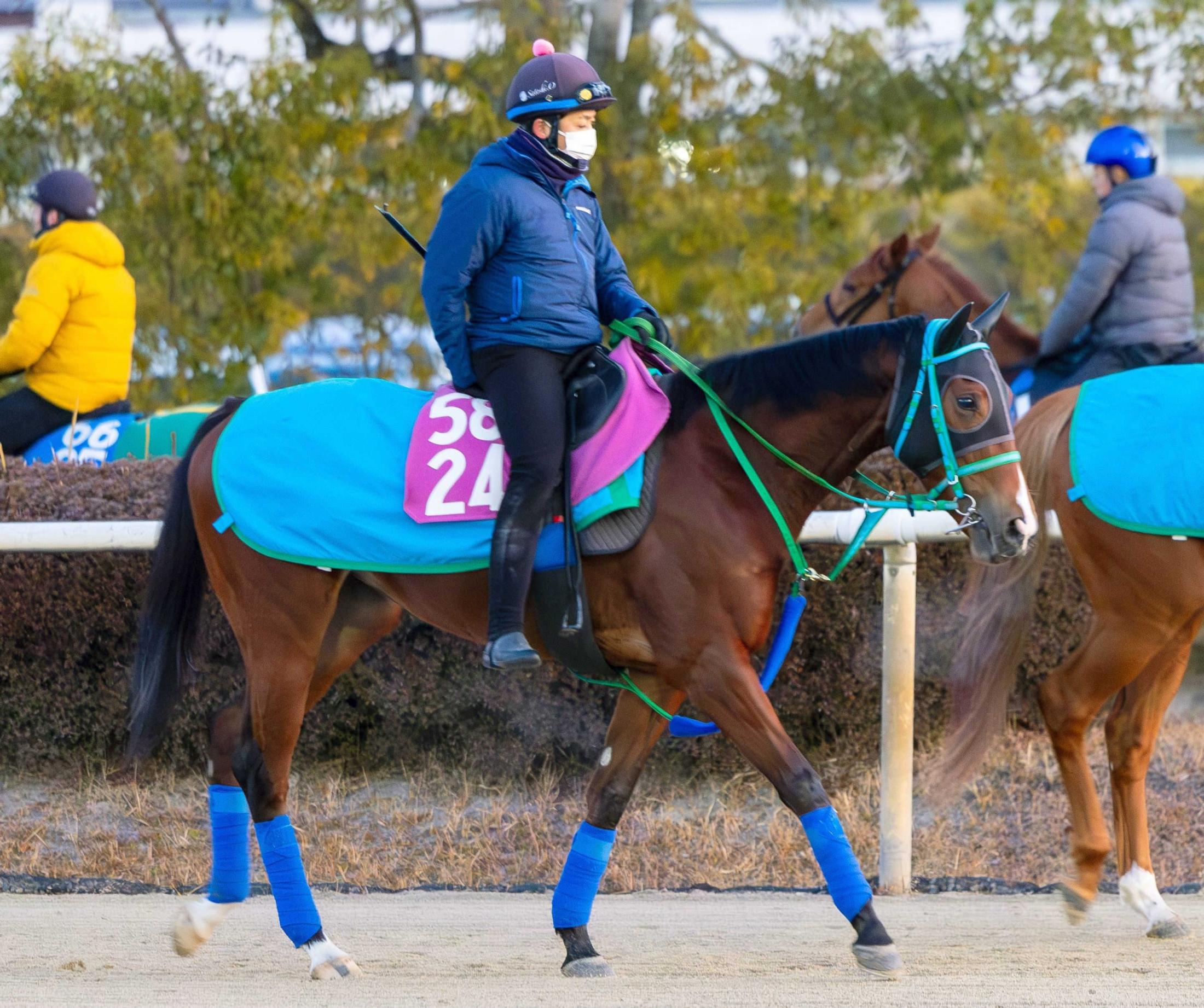 【新馬戦】クリフウォーク　荒れ馬場歓迎　池添師も好感触「順調に乗り込めてきた」