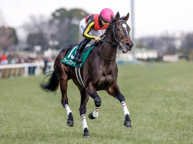 【小倉牝馬S枠順確定】クイーンズウォークは5枠9番、オーロラエックスは6枠12番