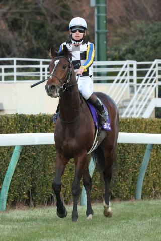 【注目馬動向】ホープフルS2着ジョバンニは若葉Sへ　鞍上は松山弘平騎手