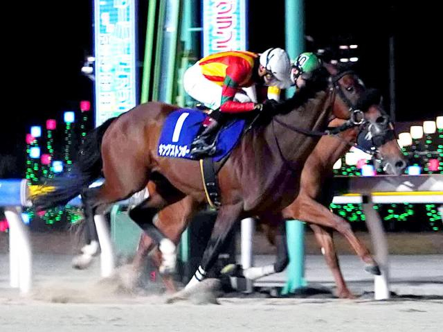 【船橋競馬・報知グランプリカップ(23日)】キングストンボーイ重賞連勝